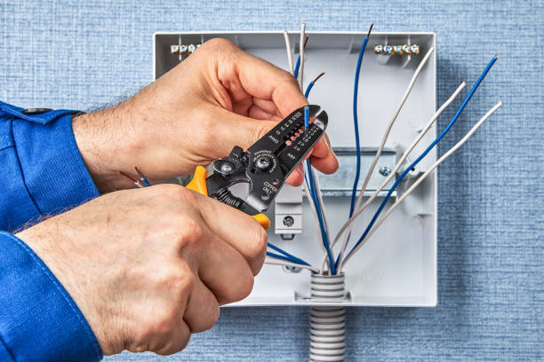 Best Electrical Panel Upgrades  in Brownlee Park, MI