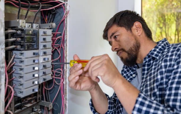 Best Electrical Troubleshooting and Repair  in Brownlee Park, MI