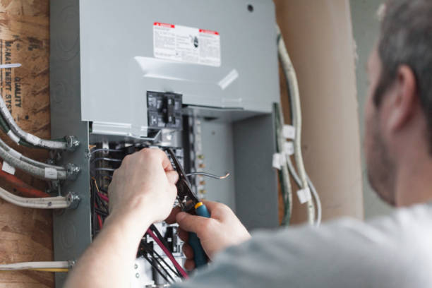 Best Surge Protection Installation  in Brownlee Park, MI